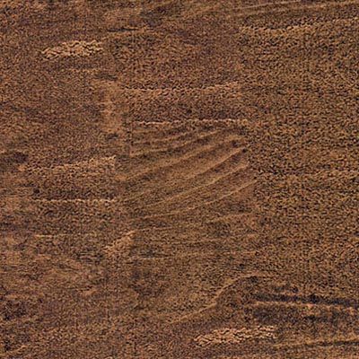 Beech Antique