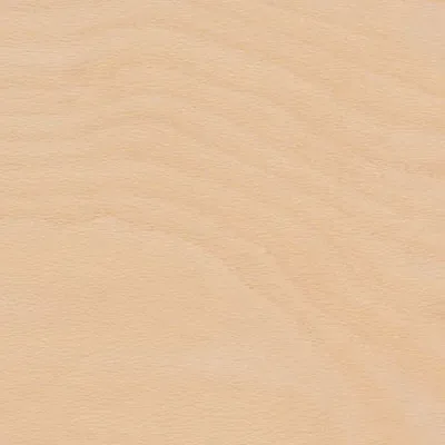 Beech Standerd