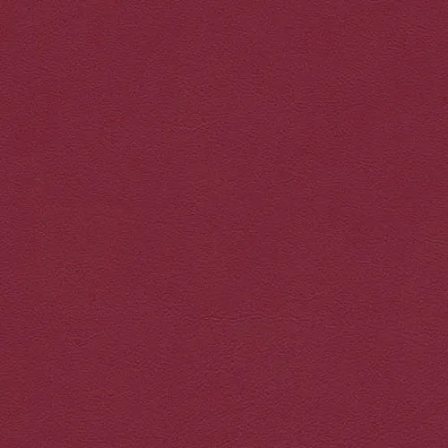 Palma nf Rubin f6411010 1