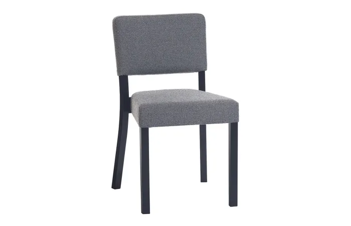 Treviso chair with upholstery 1