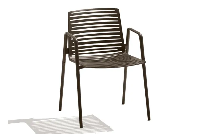 Zebra dining armchair outdoor 01